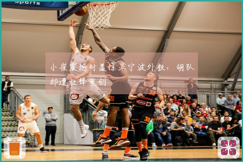 小崔震撼封盖惊呆宁波外教，胡队却遭杜锋重创